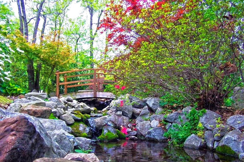 Lendonwood Gardens