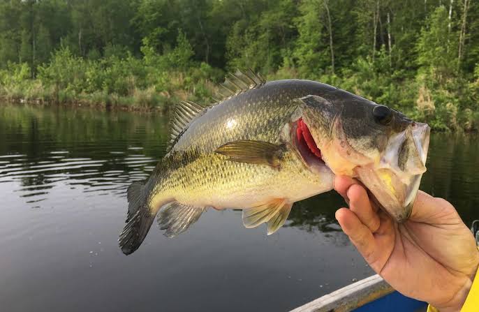 Grand Lake O' the Cherokees Fishing